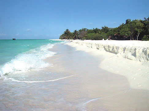 Foto Der weiße Sandstrand der Malediven